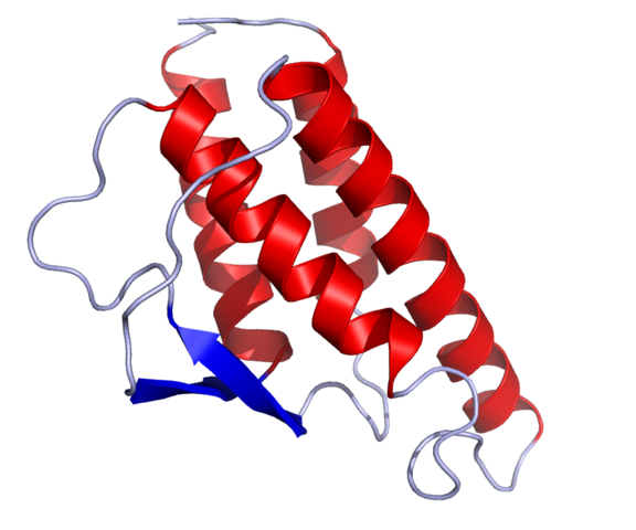 Interleukin-4 (IL-4)